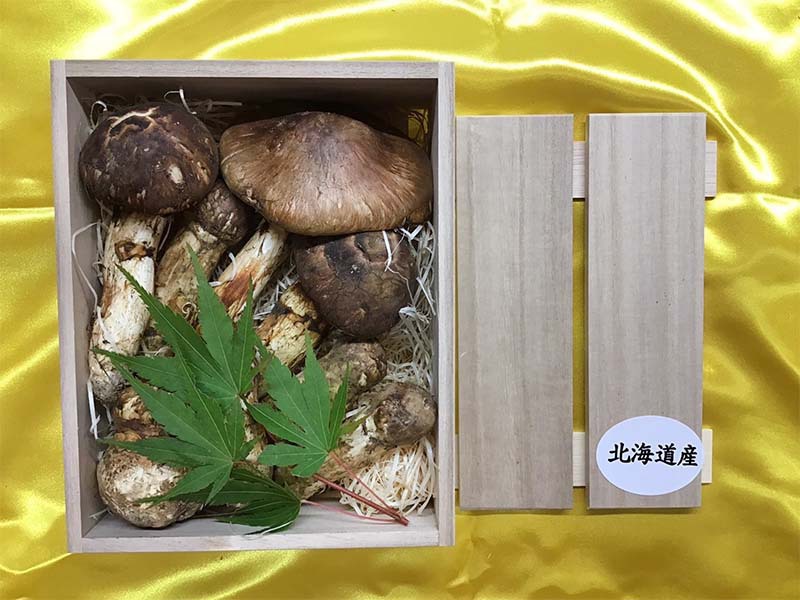 国産松茸の竹の写真