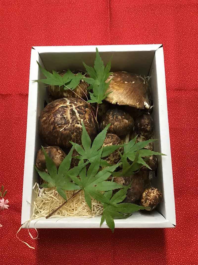 松茸の徳の写真