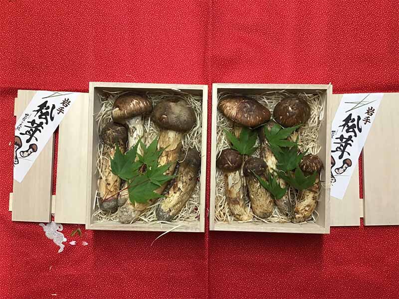 松茸の竹の写真