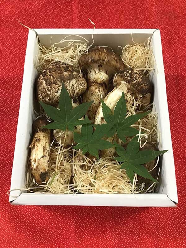 松茸の慶の写真
