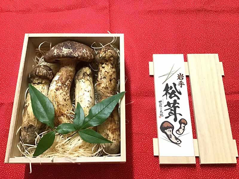松茸の竹の写真