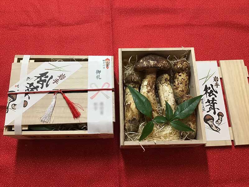 松茸の竹の写真