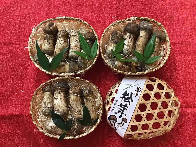 松茸の梅の写真