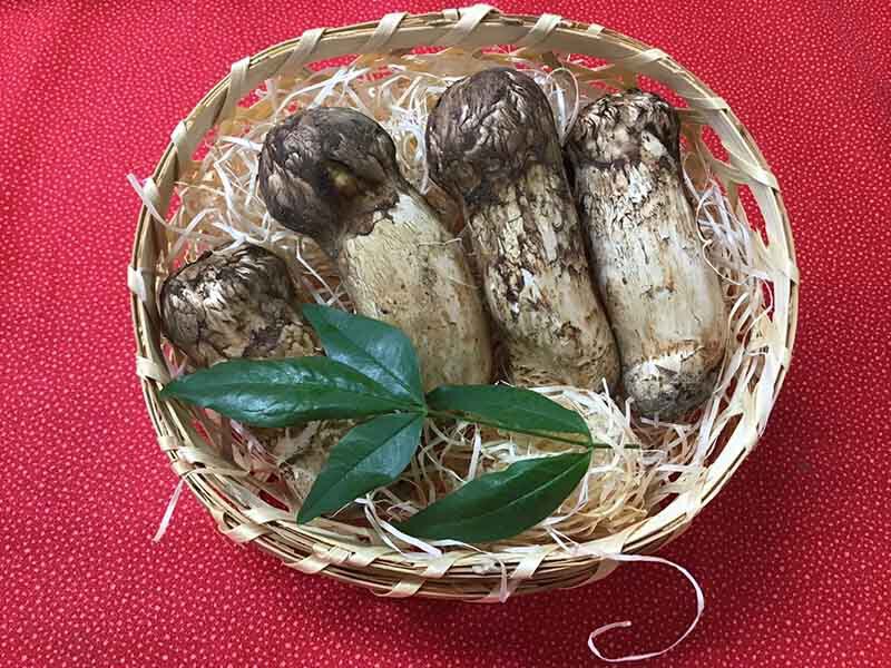 松茸の梅の写真