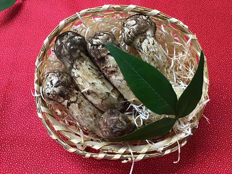 松茸の梅の写真