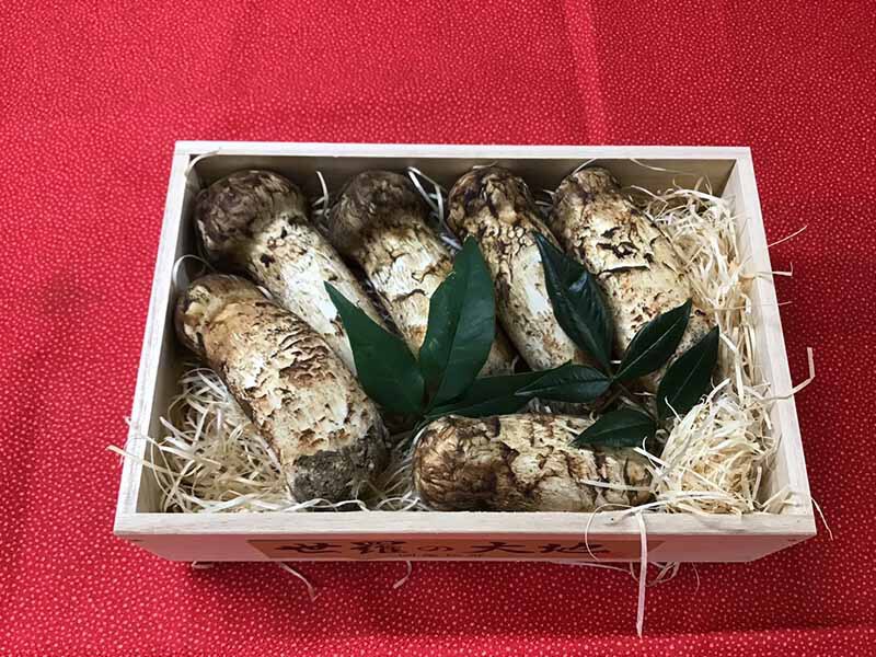 松茸の松の写真