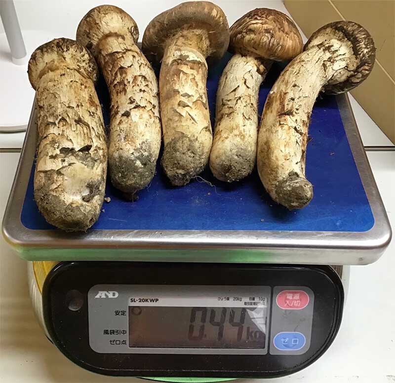 三つ星飲食店さまご依頼のお品の写真