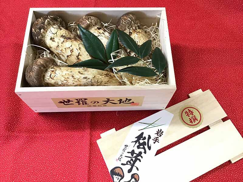松茸の銀の写真