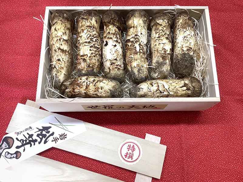 松茸の金の写真