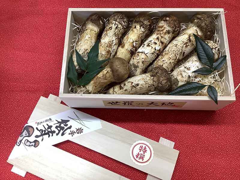 松茸の金の写真