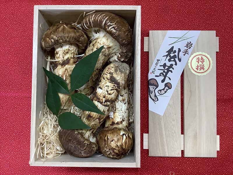 松茸の銀の写真
