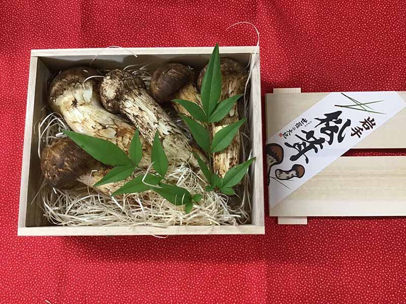 松茸の竹の写真