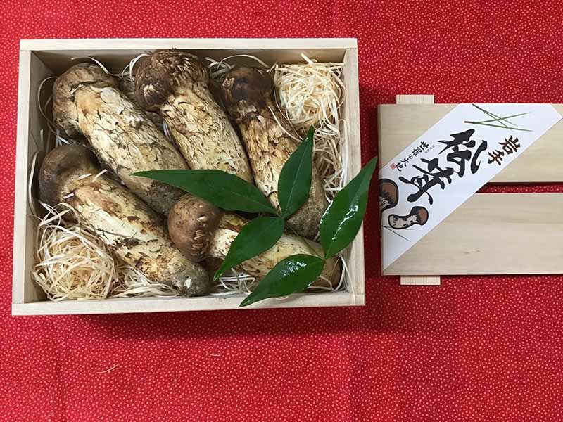 松茸の竹の写真
