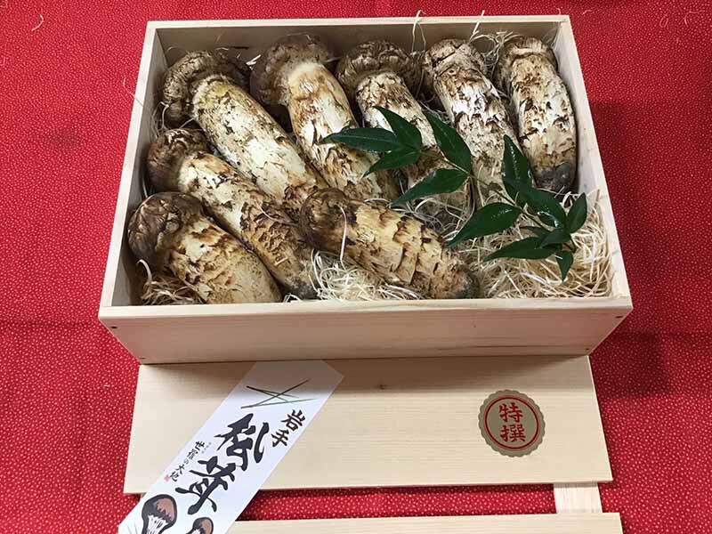 松茸の華の写真