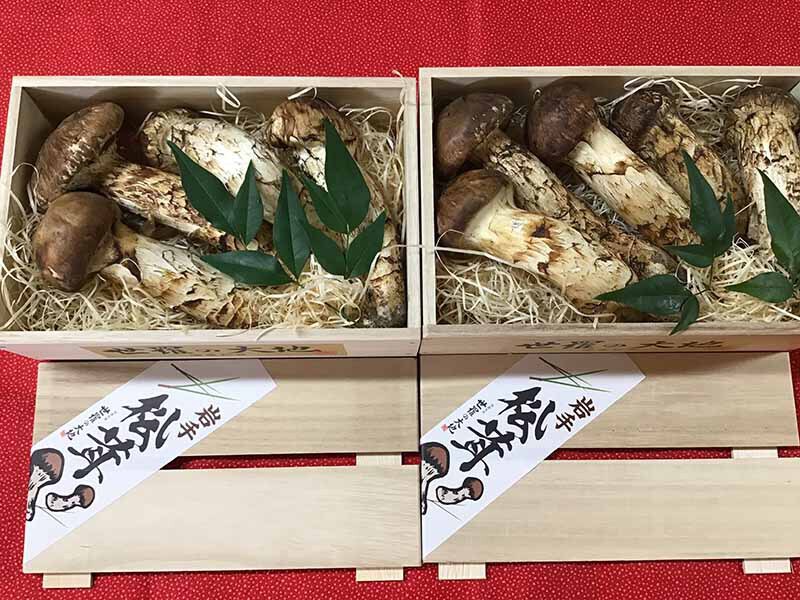 松 企業様ご依頼の写真