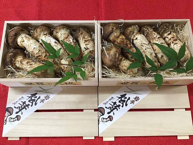松 企業様ご依頼の写真