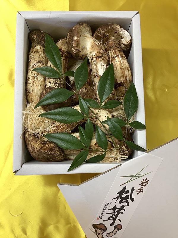 松茸の徳の写真