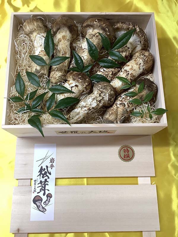 雅企業様ご依頼の写真