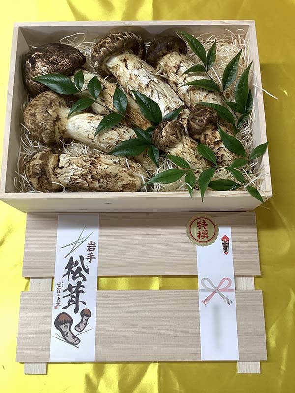松茸の華の写真