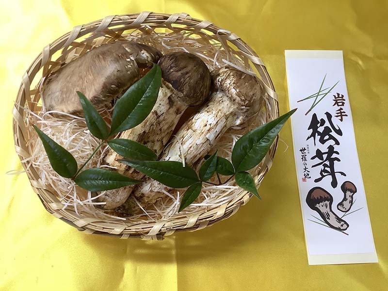 松茸の梅の写真