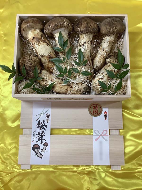 松茸の華の写真