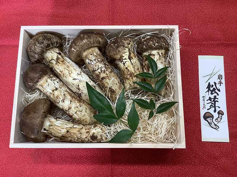 松茸の華の写真