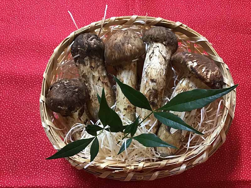 松茸の梅の写真