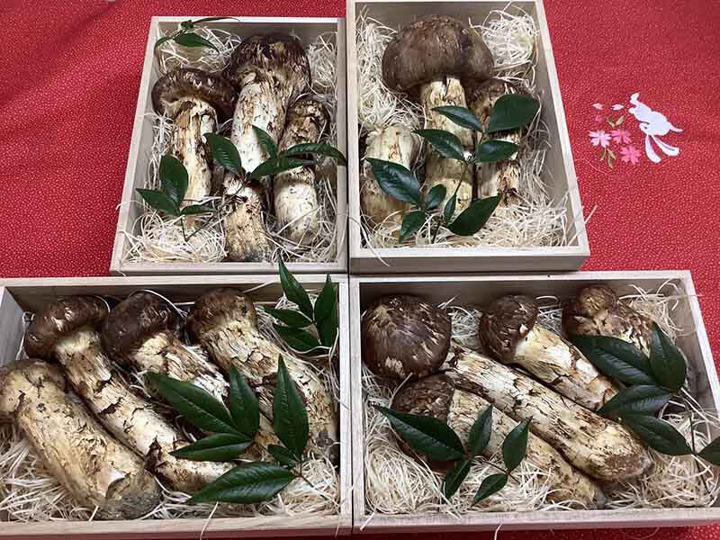 百貨店さまのご依頼の写真