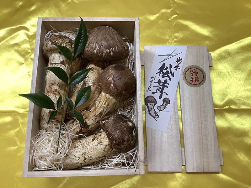 松茸の銀の写真