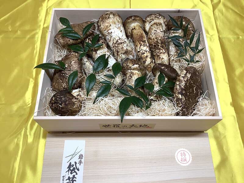 松茸の極の写真