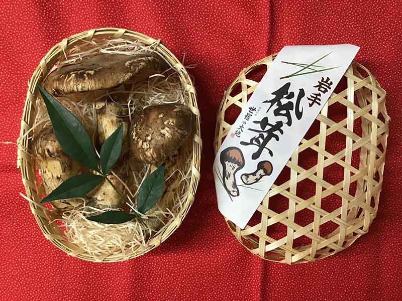 松茸の梅の写真