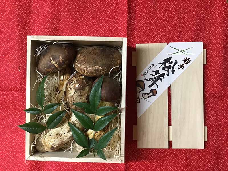 松茸の竹の写真