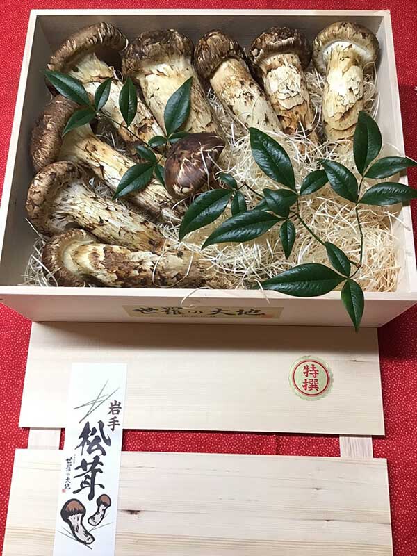 松茸の雅の写真