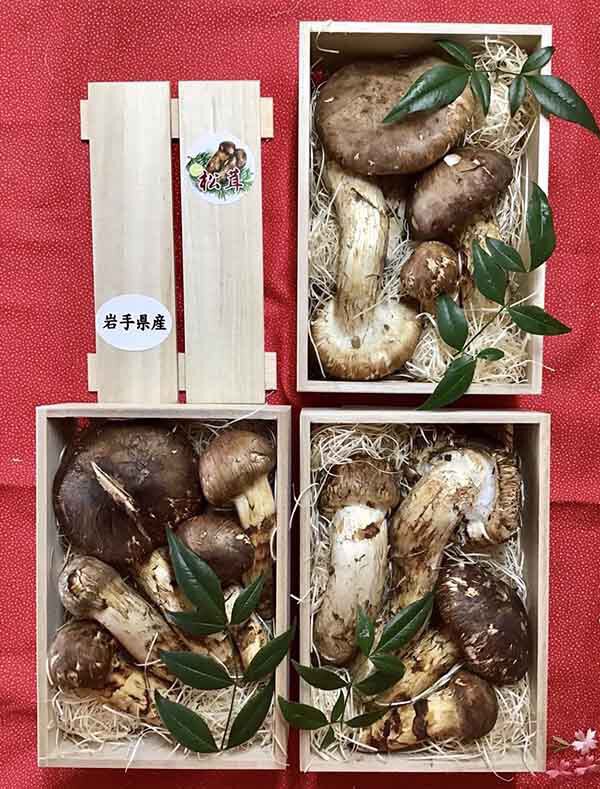 百貨店さま依頼の松茸