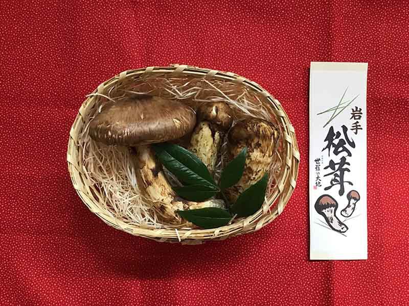 松茸の梅の写真