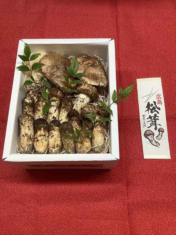 松茸の慶の写真