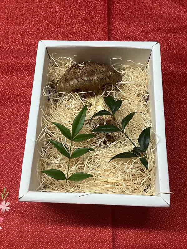 愛知県日本料理店広島県産のひらきの写真