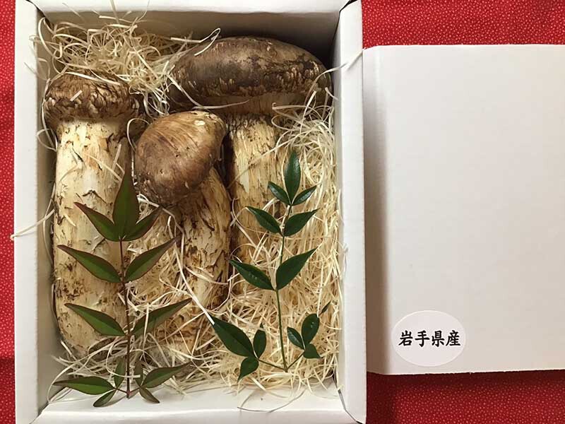 愛知食品卸売さまのご依頼特選のつぼみやひらき3本の写真