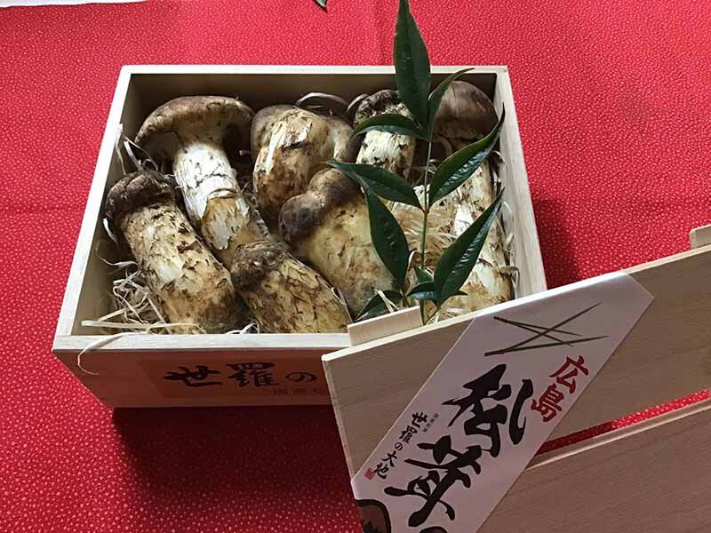 企業様ご依頼の松茸の写真