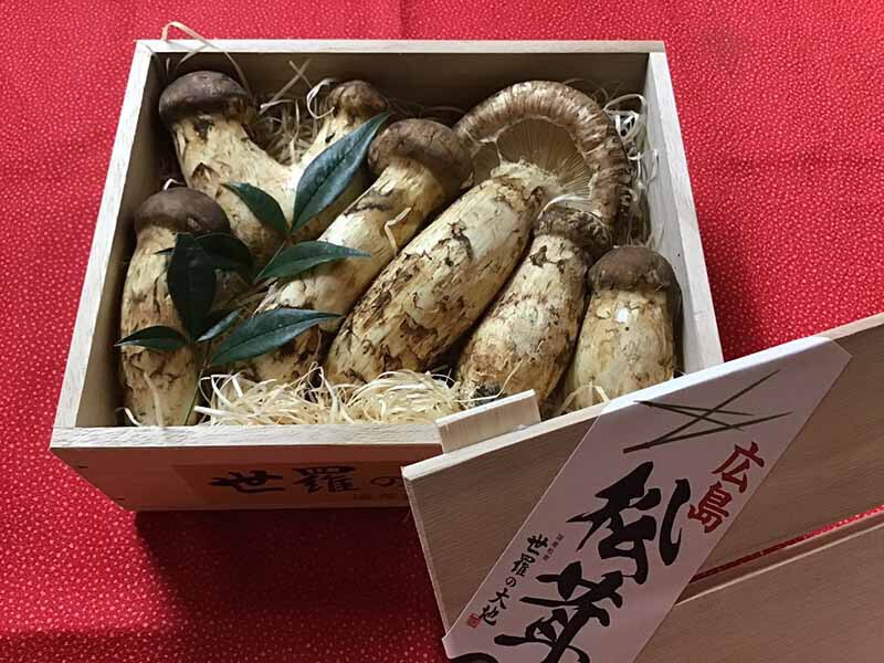 企業様ご依頼の松茸の写真