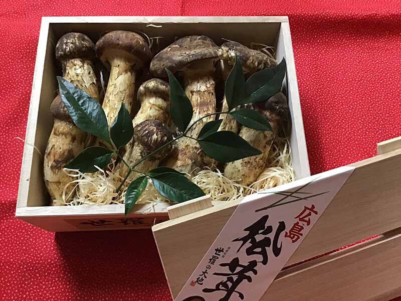 企業様ご依頼の松茸の写真