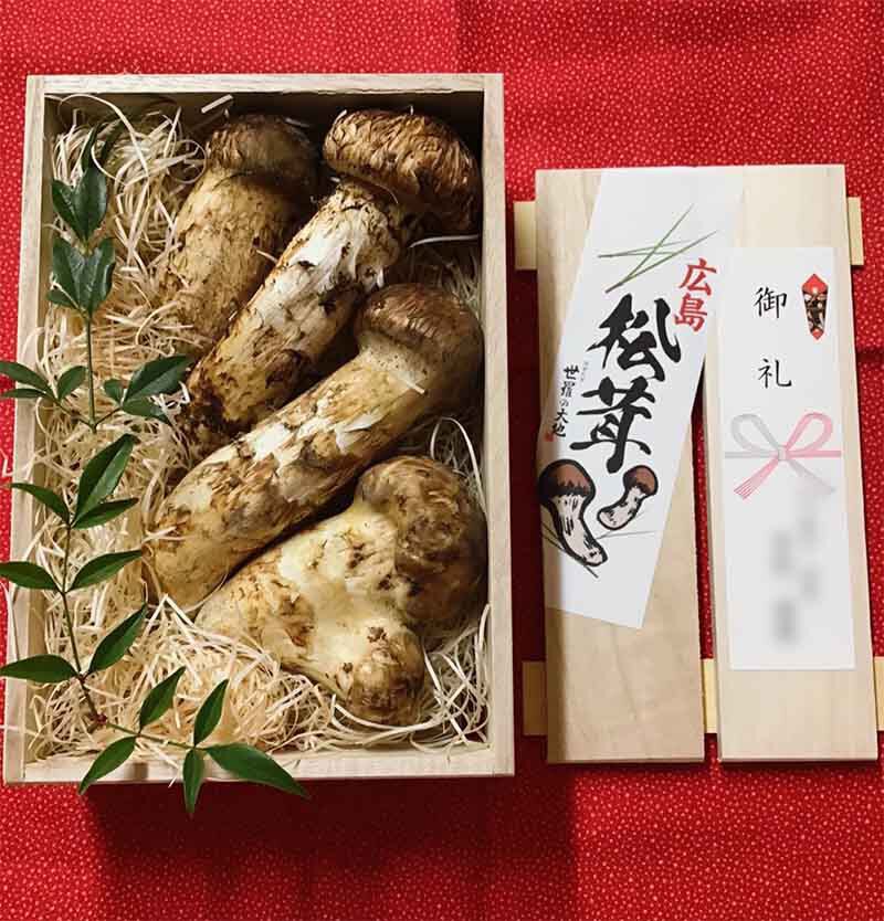 無選別5万円の松茸の写真