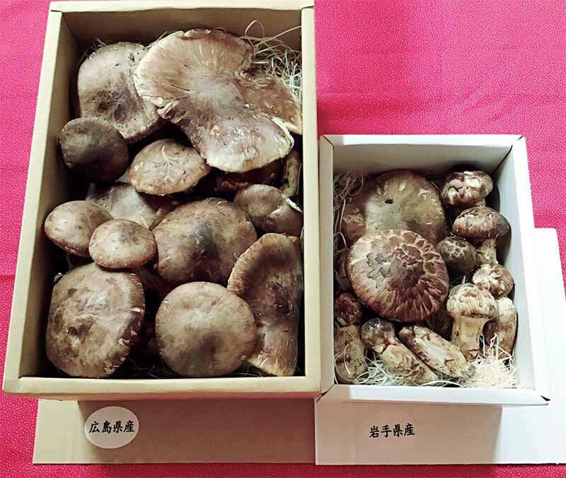 兵庫県郷土料理店ひらきの写真