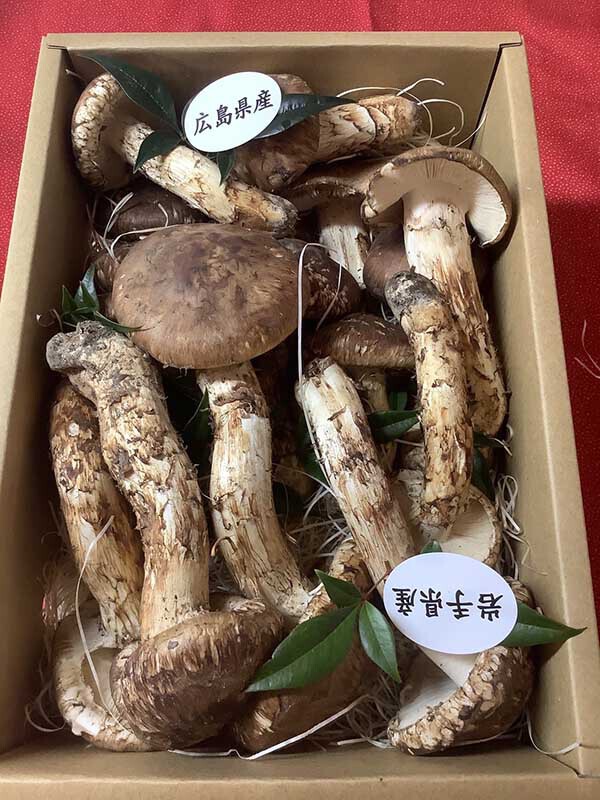 広島日本料理店ひらきの写真