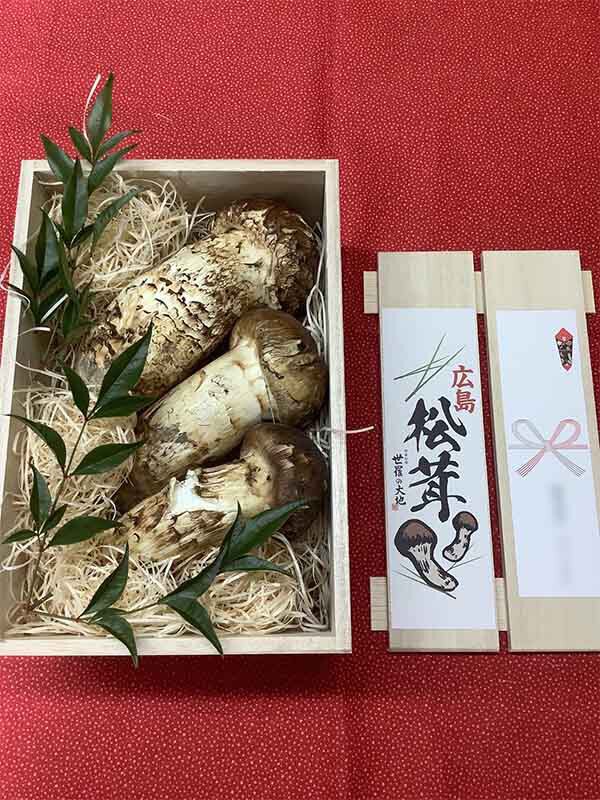 企業様ご依頼の松茸