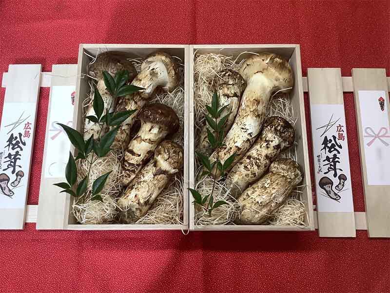 企業様特選の松茸の写真