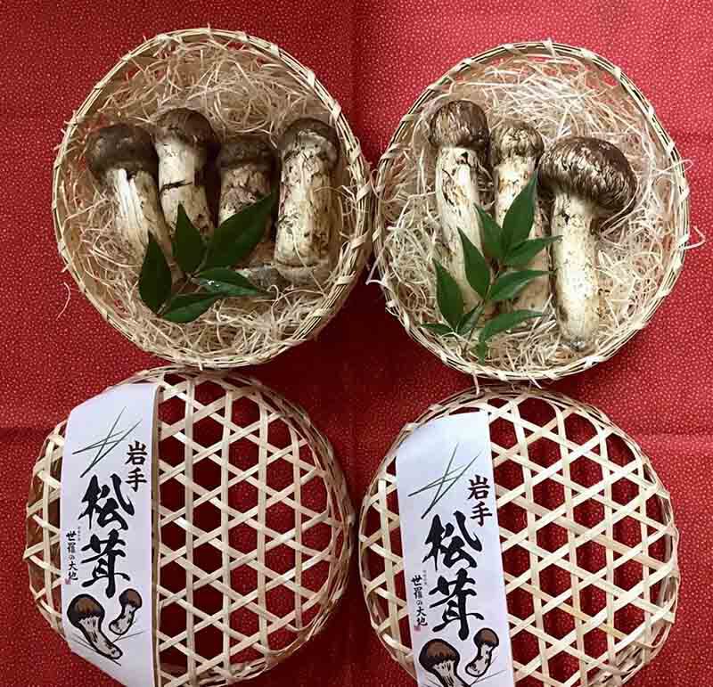 東京 小売店さまのご依頼岩手県産松茸の竹籠入り