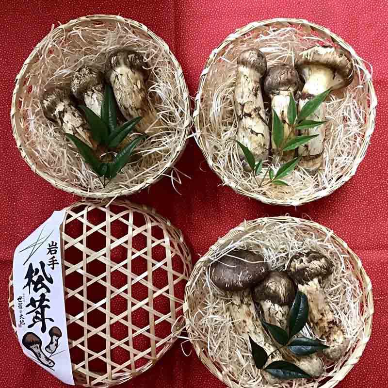 東京 小売店さまのご依頼岩手県産松茸の竹籠入り