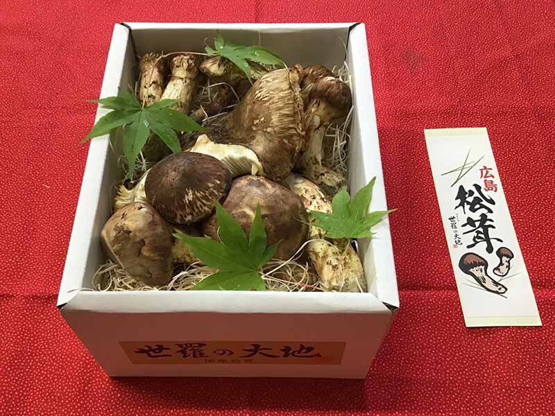 松茸の慶の写真