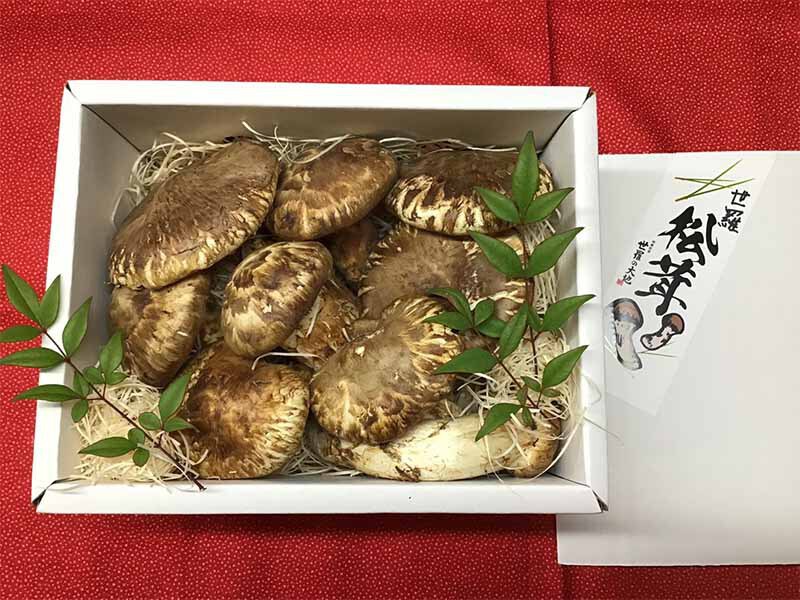 世羅産松茸の写真
